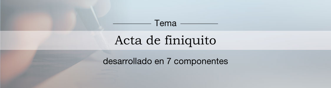 Procupedia msn pro 05.jpg