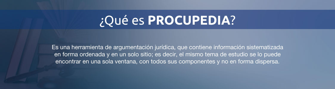 Procupedia msn pro 02.jpg