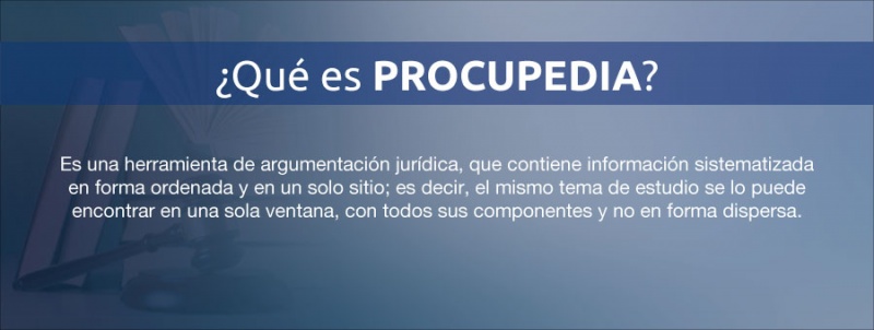 Archivo:Procupedia msn pro 01.jpg